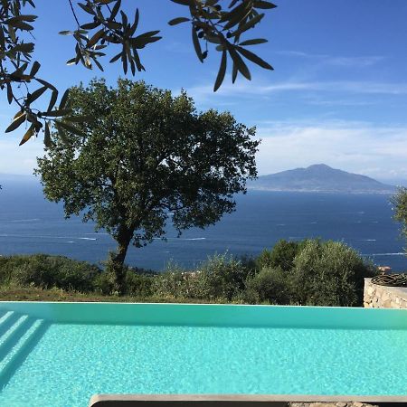 Villa Li Schisani Sorrento Esterno foto