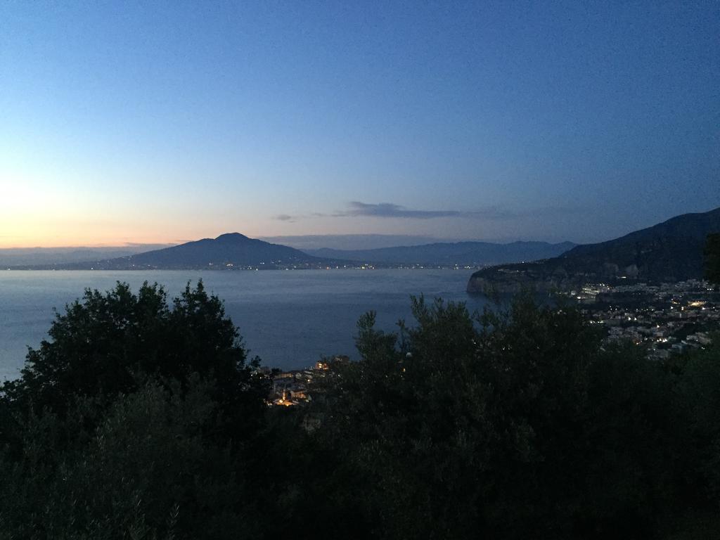 Villa Li Schisani Sorrento Esterno foto