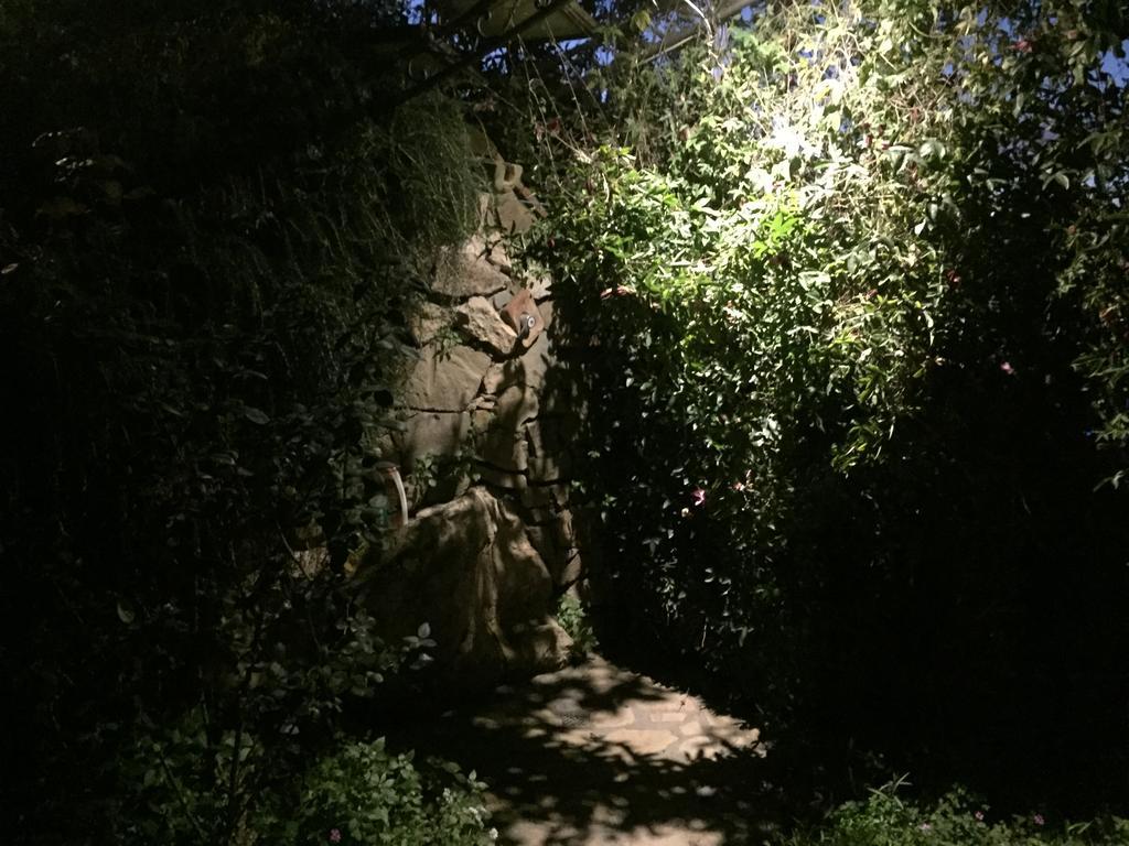 Villa Li Schisani Sorrento Esterno foto